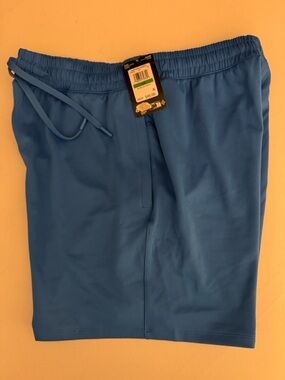 Under Armour Motion Shorts Mens Large Blue